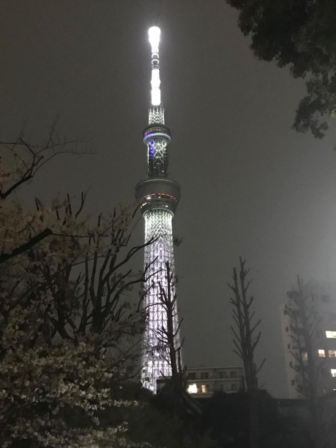 Sky Tree Inn Τόκιο Εξωτερικό φωτογραφία