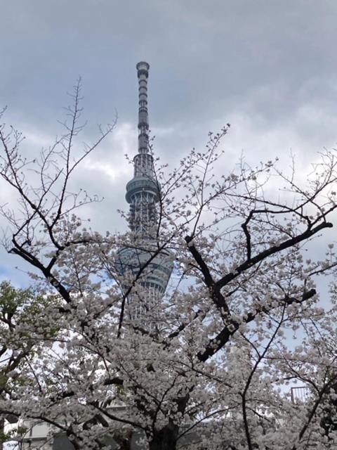 Sky Tree Inn Τόκιο Εξωτερικό φωτογραφία
