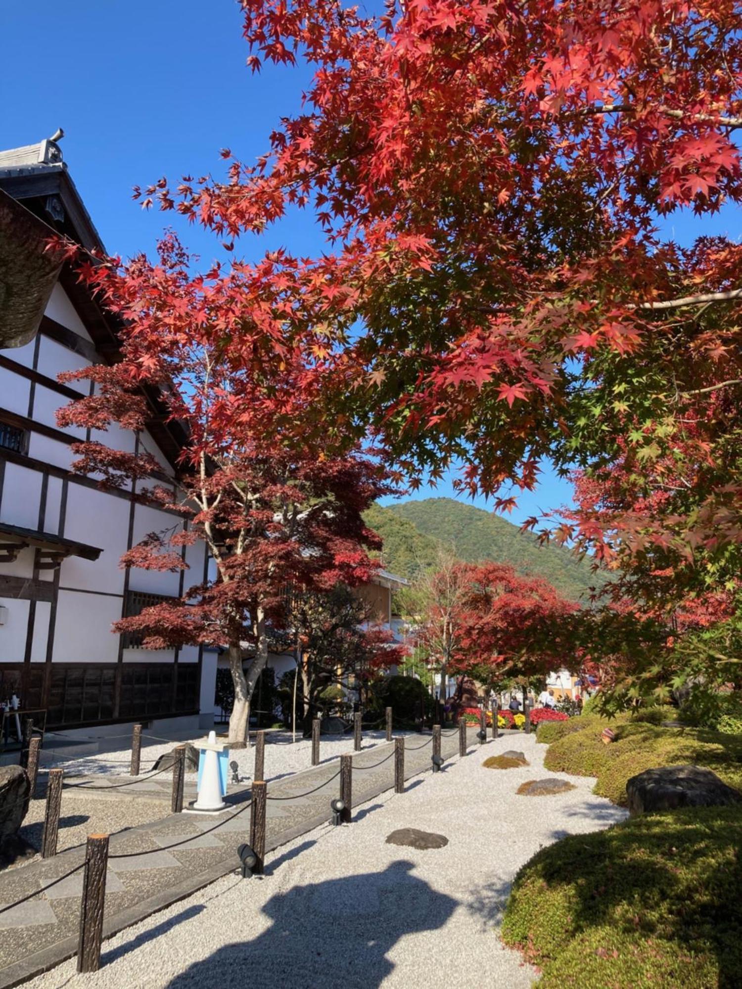 Sky Tree Inn Τόκιο Εξωτερικό φωτογραφία